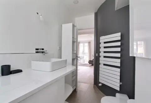 1 bedroom apartment rental in Paris, Rue de Monttessuy