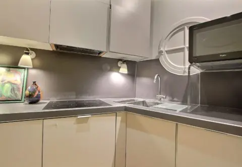 1 bedroom apartment rental in Paris, Boulevard Raspail