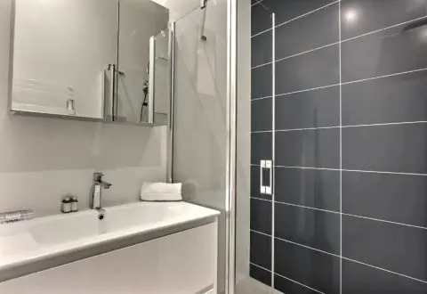 1 bedroom apartment rental in Paris, Rue de Lille