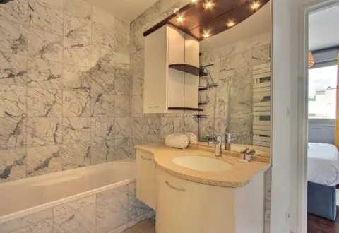 1 bedroom apartment rental in Paris, Rue de Lourmel