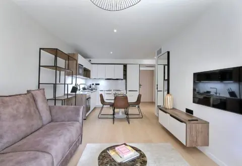 1 bedroom apartment rental in Paris, Rue de Lourmel