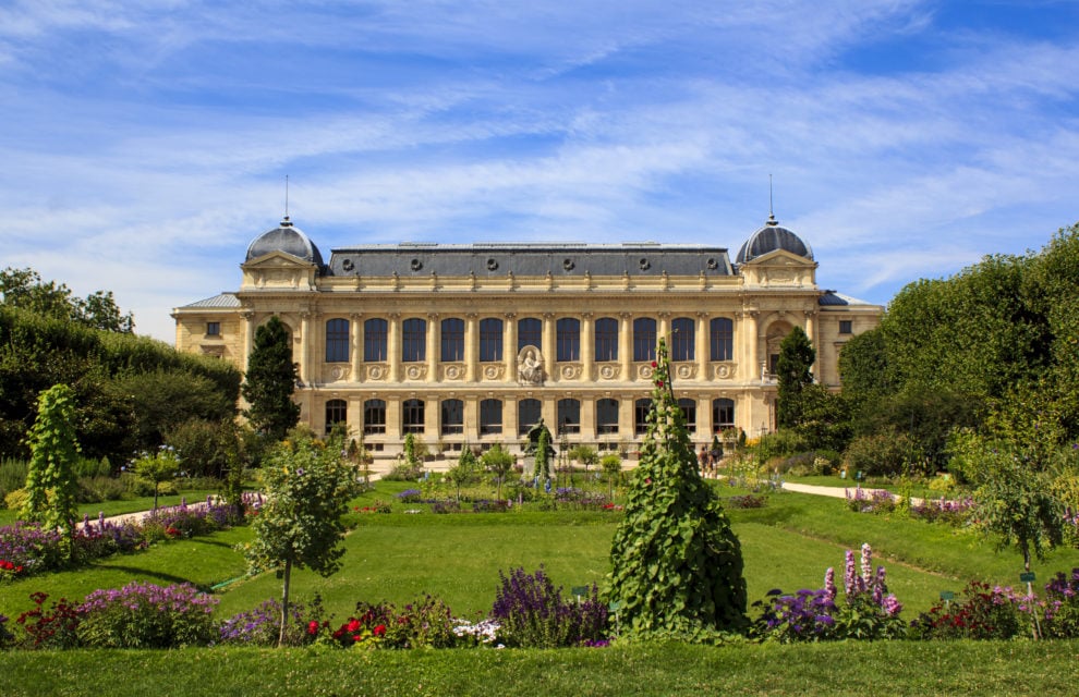 Apartments for rent in the 5th arrondissement, Jardin des Plantes