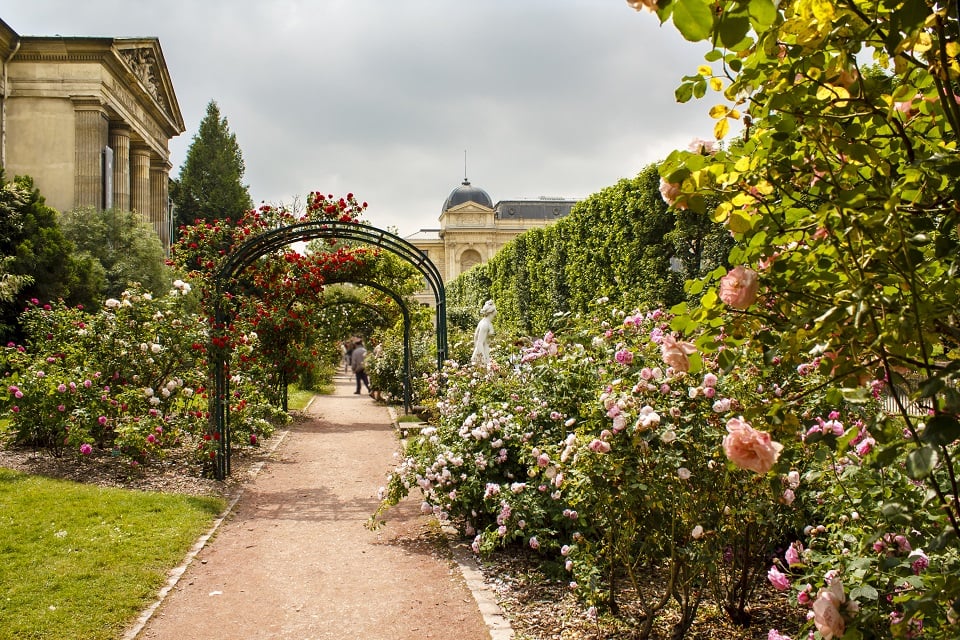 Appartements à louer dans le quartier du Jardin des Plantes