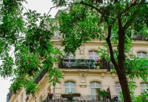 Furnished luxury apartments for expatriates for rent In Paris