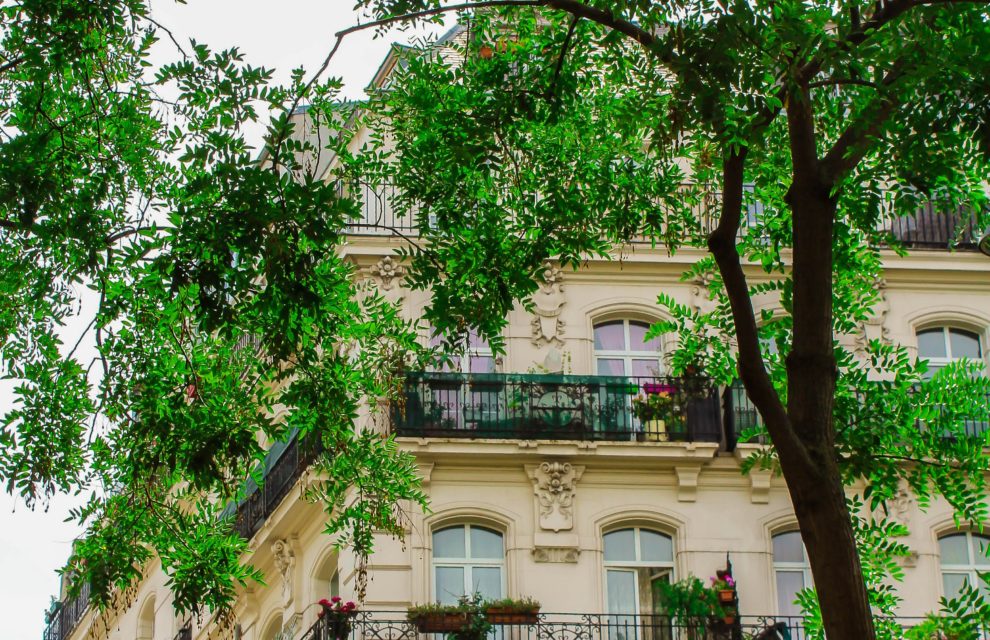 Furnished luxury apartments for expatriates for rent In Paris