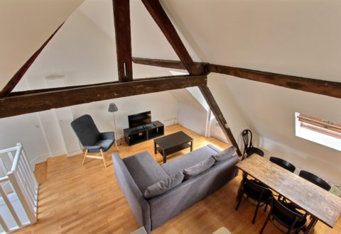 1 bedroom apartment rental in Paris, Rue du Pot de Fer