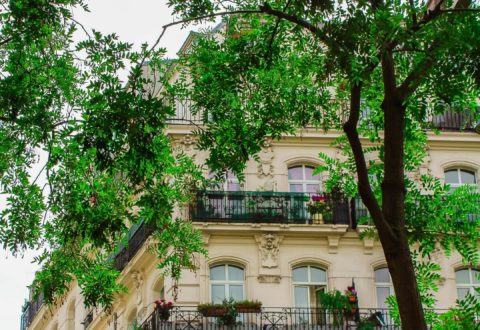 Appartements meublés de standing pour expatriés à louer à Paris