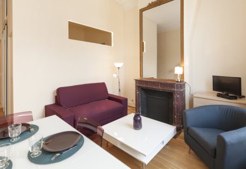 1 bedroom apartment rental in Paris, Avenue de l'Opéra
