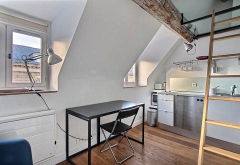 Studio rental in Paris, Rue Férou