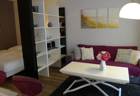 Appartement meublé Studio à Paris 15e, Rue de Vaugirard