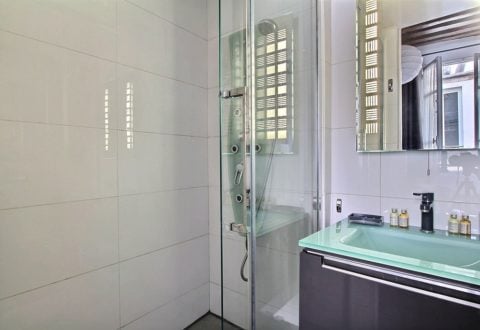 1 bedroom apartment rental in Paris, Rue de la Huchette