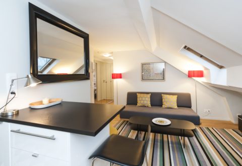 1 bedroom apartment rental in Paris, Rue Madame