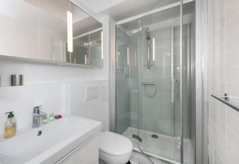 1 bedroom apartment rental in Paris, Rue Madame