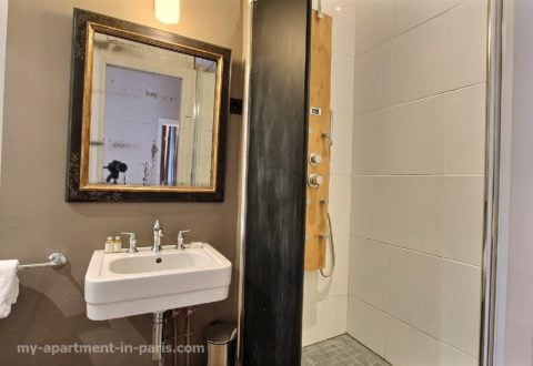 1 bedroom apartment rental in Paris, Rue Malebranche