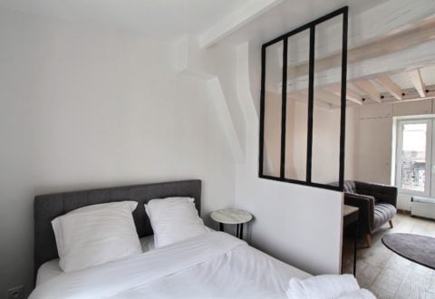 1 bedroom apartment rental in Paris, Rue Bonaparte