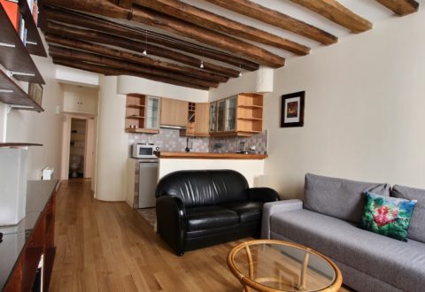 Furnished apartment 1 bedroom in Paris 6th, Rue Mazarine