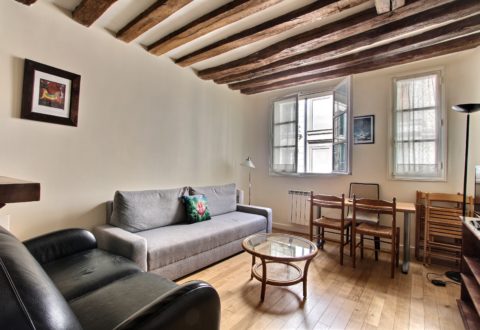 1 bedroom apartment rental in Paris, Rue Mazarine