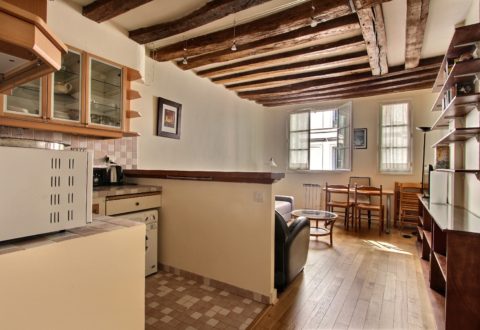 1 bedroom apartment rental in Paris, Rue Mazarine