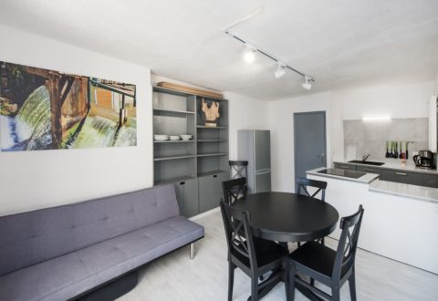 2 bedrooms apartment rental in Paris, Rue Linné