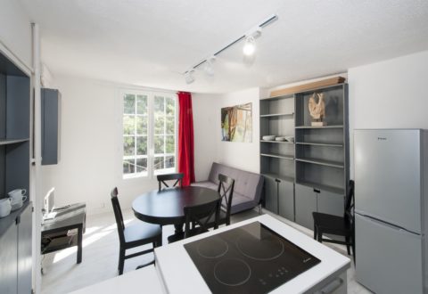 2 bedrooms apartment rental in Paris, Rue Linné