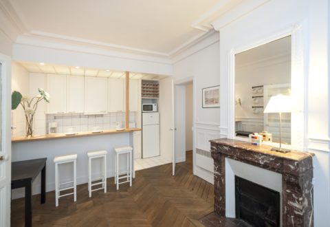 2 bedrooms apartment rental in Paris, Rue Dauphine