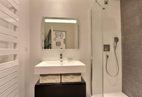 2 bedrooms apartment rental in Paris, Rue Littré