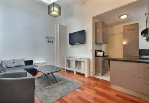 Furnished apartment 1 bedroom in Paris 15th, Rue de l'Avre