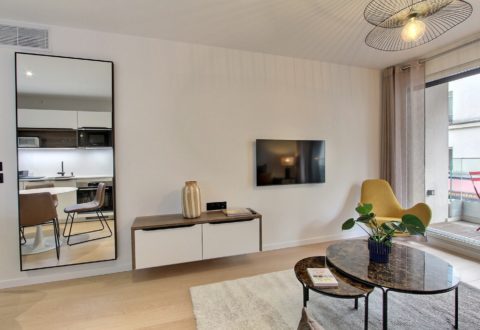 1 bedroom apartment rental in Paris, Rue de Lourmel