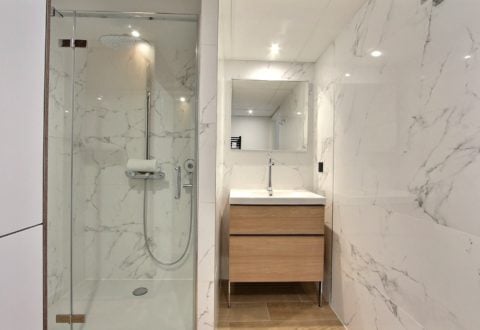 1 bedroom apartment rental in Paris, Rue de Lourmel