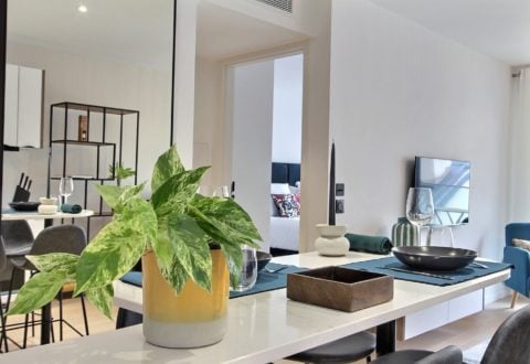 1 bedroom apartment rental in Paris, Rue de Lourmel